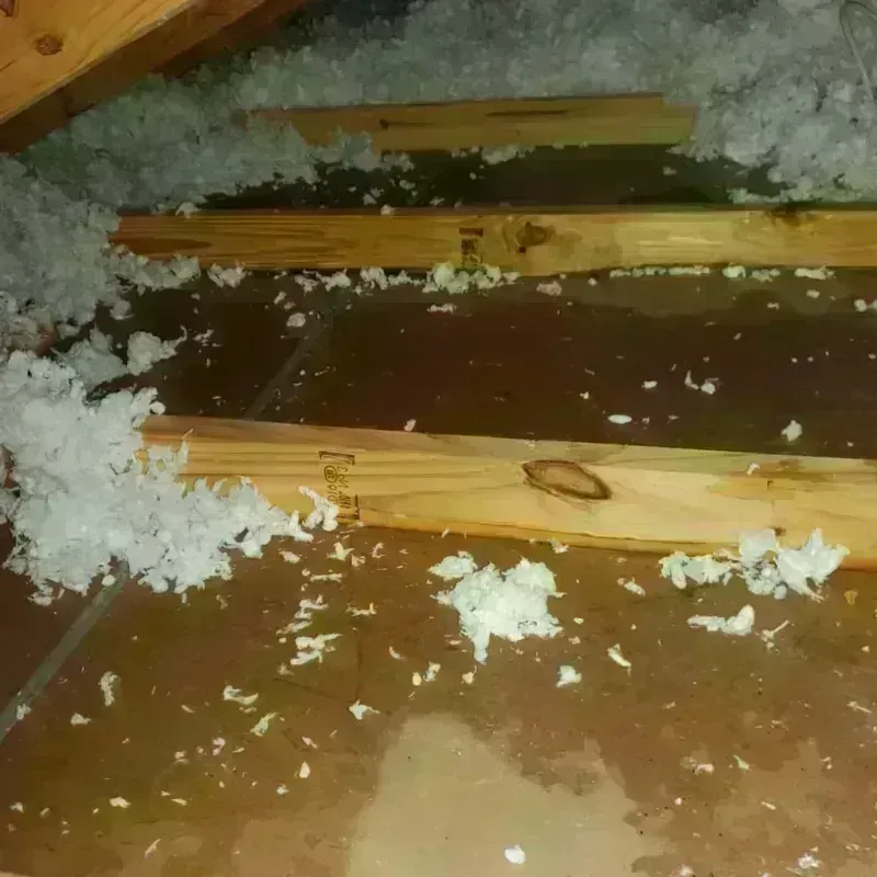 Attic Water Damage in Cheyenne, OK