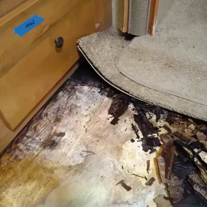 Wood Floor Water Damage in Cheyenne, OK